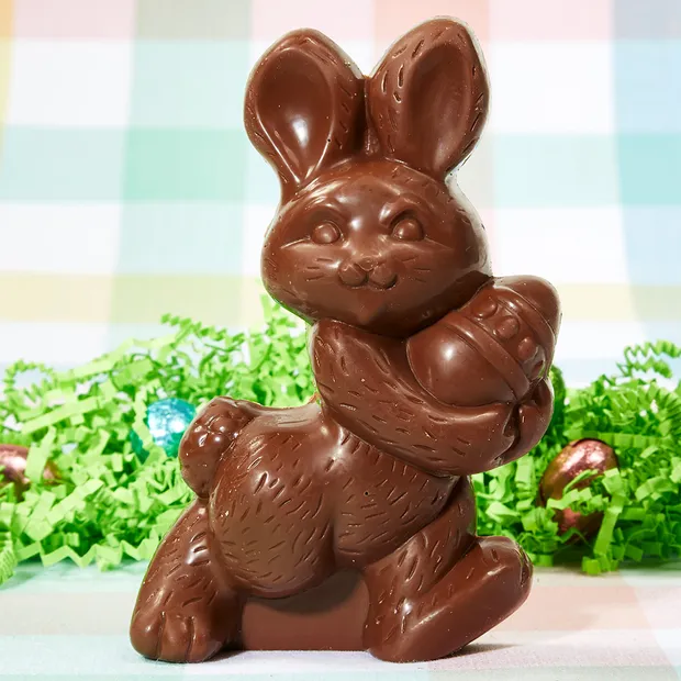 Chocolate Bunny